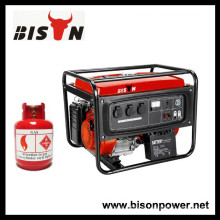 BISON (CHINA) 4kw 4kva Potência de saída nominal real Gerador de biogás pequeno